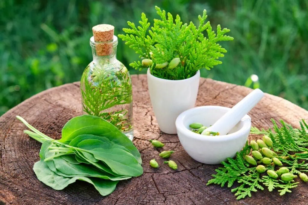 Naturopathy
